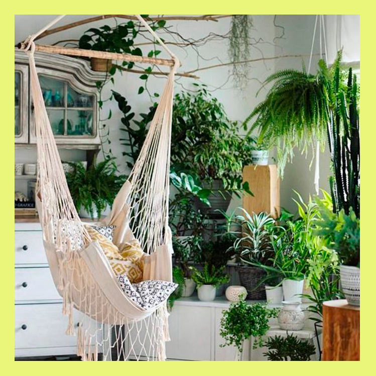 Jungle apartment: una forma original para decorar tu casa con plantas