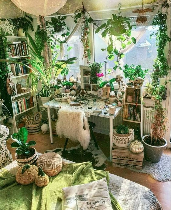 estudio con plantas jungle apartment
