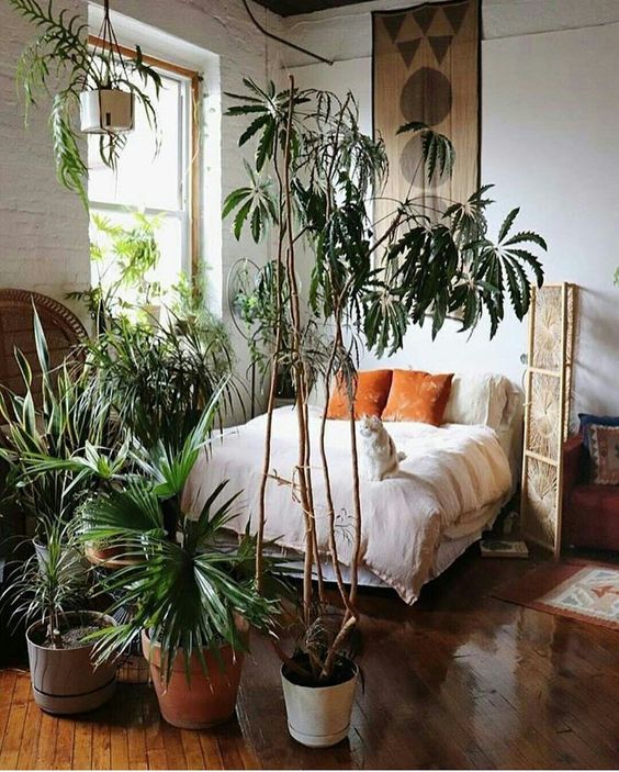 recamara decorada con plantas