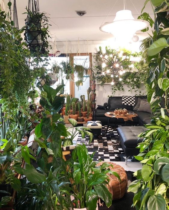 sala de estar con plantas estilo selva