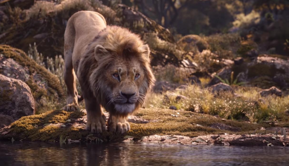 7 cosas que verás de la nueva película Rey León live action 1