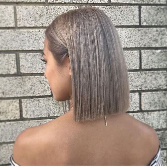 tinte de cabello mushroom silver