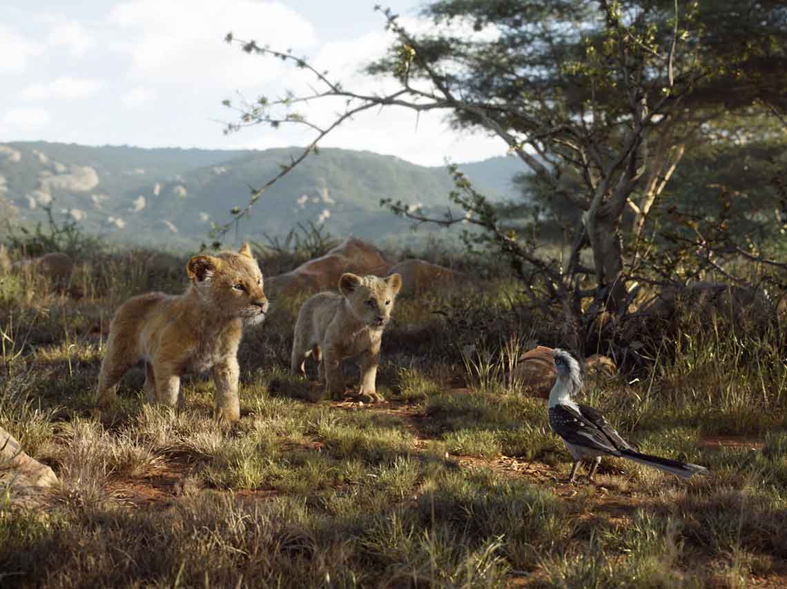 Remake de El Rey León 2019 ¡todo sobre su estreno! 1