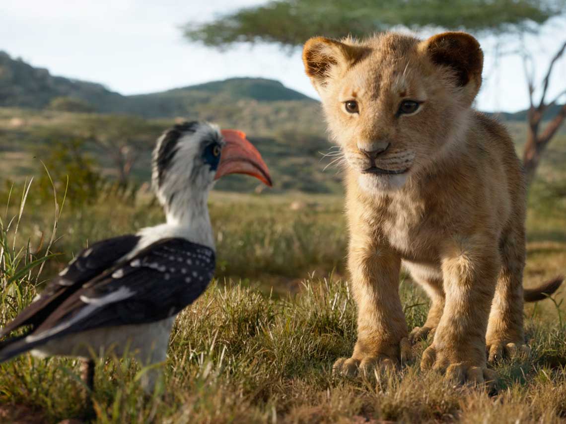 Remake de El Rey León 2019 ¡todo sobre su estreno! 4