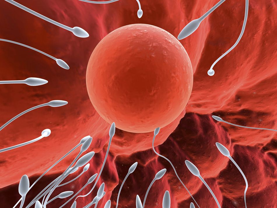 fecundacion de ovulos infertilidad secundaria