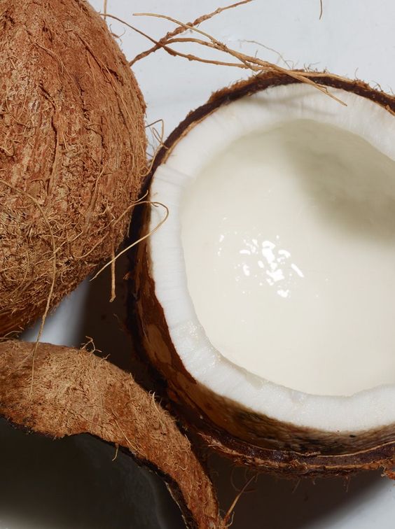 fruta de coco postura sexual