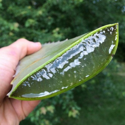 Jabón casero de aloe vera y limón para el acné 2