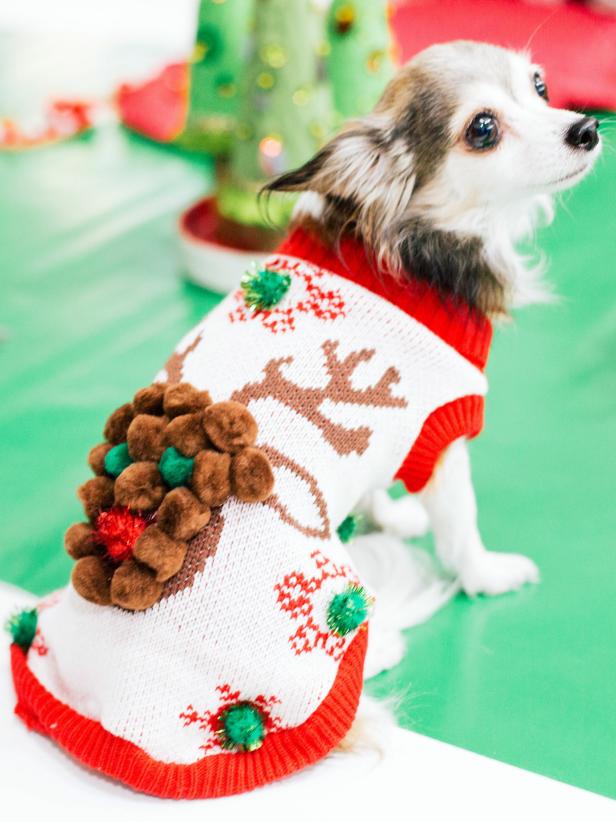 ugly sweaters para perros