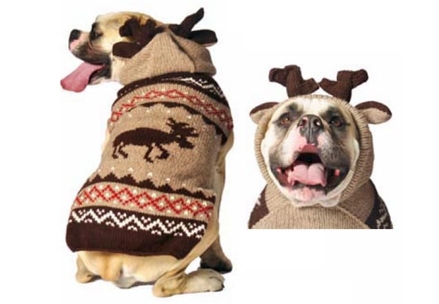 10 ugly sweaters para perros que harán tu navidad divertida 9