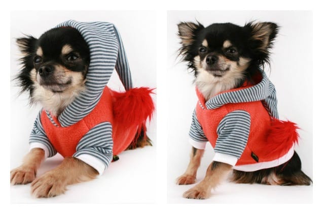 10 ugly sweaters para perros que harán tu navidad divertida 2