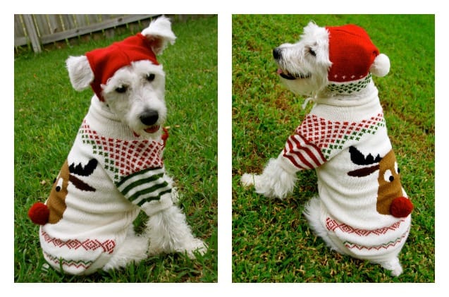 ugly sweaters para perros