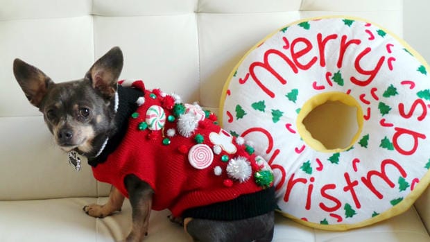 10 ugly sweaters para perros que harán tu navidad divertida 1