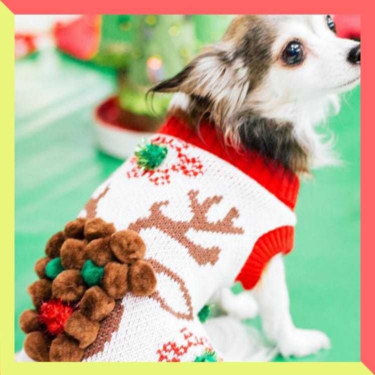 10 ugly sweaters para perros que harán tu navidad divertida