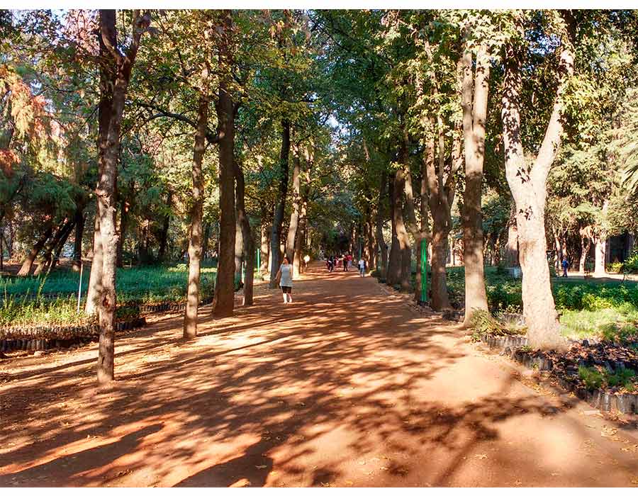 5 lugares perfectos para salir a correr en la ciudad