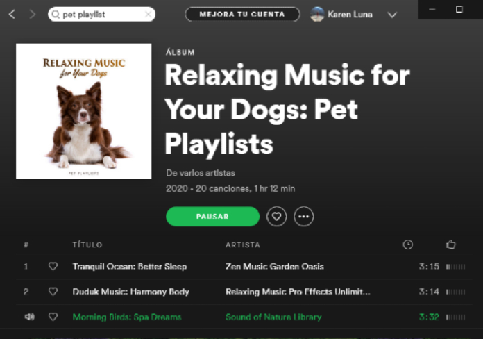 Música relajante para tu perro