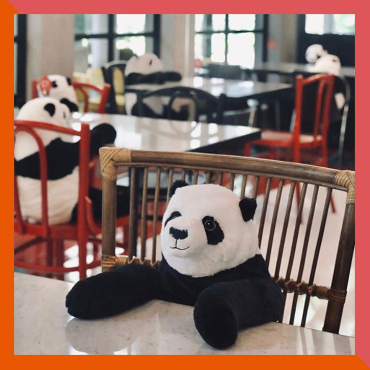 Estos pandas se sentarán en tu mesa para cuidarte