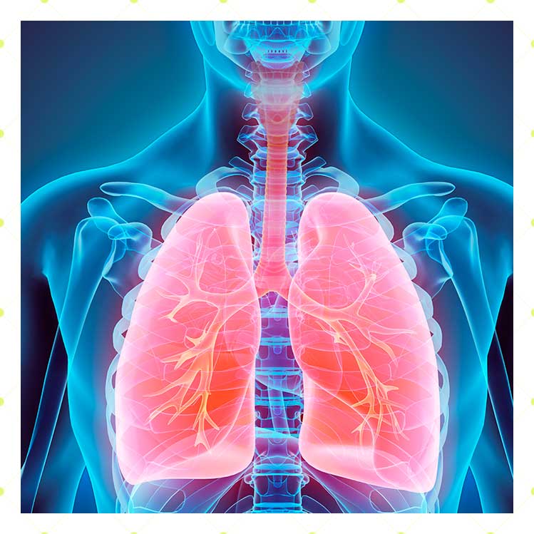6 formas de fortalecer tus pulmones ante el Covid-19