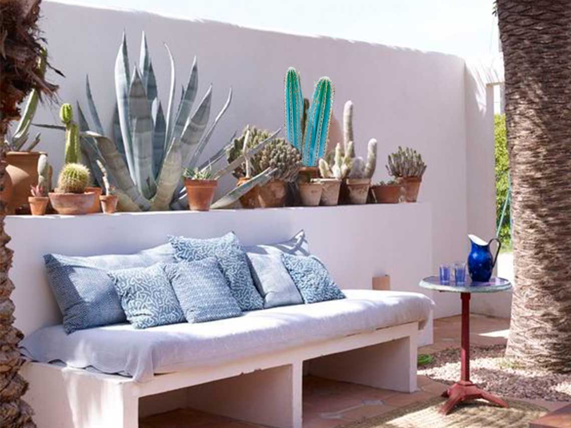 5 ideas para decorar tu casa con cactus azules y atraer energía 0