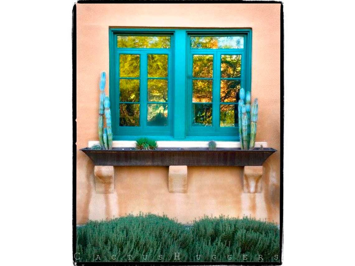 5 ideas para decorar tu casa con cactus azules y atraer energía 2