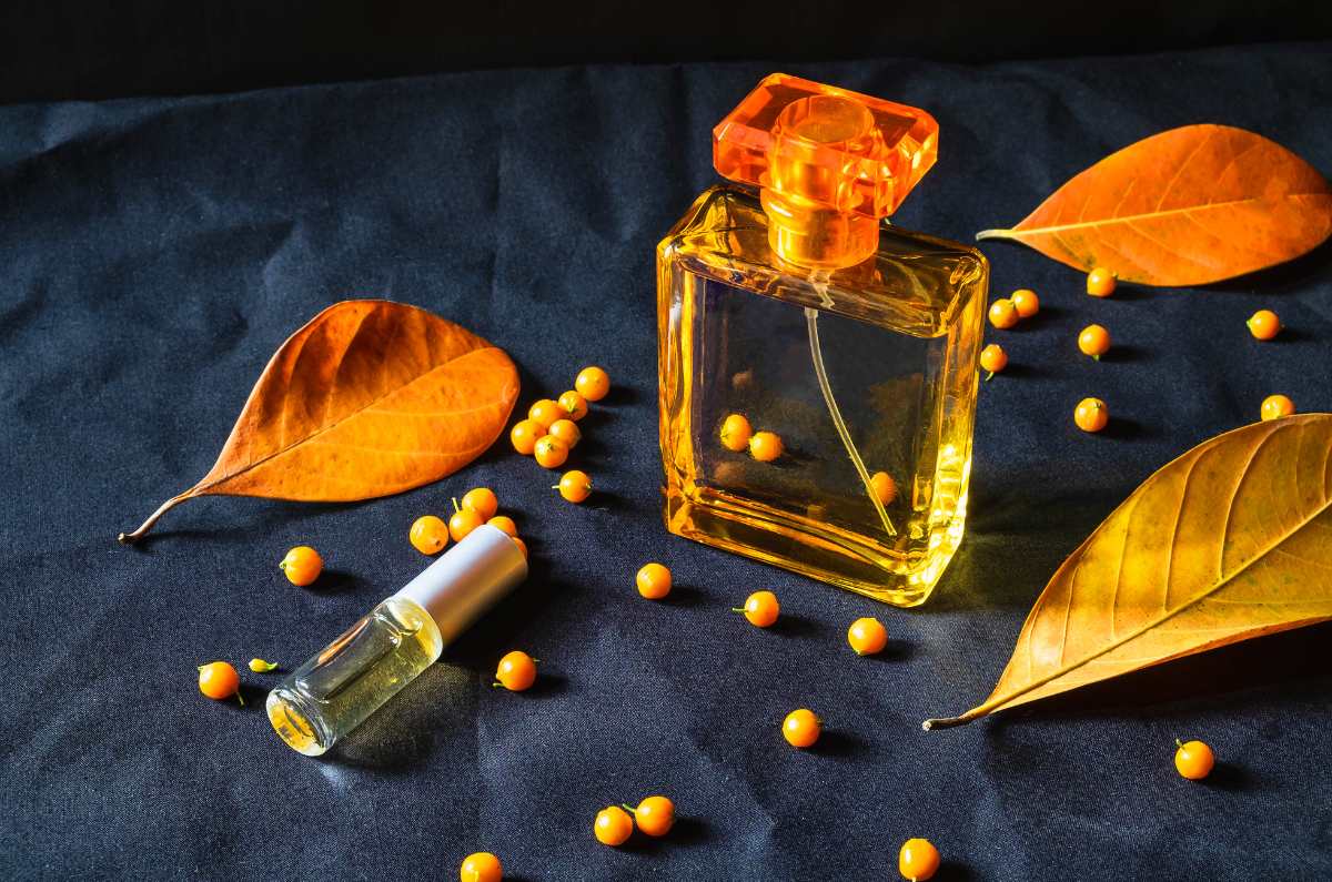 Perfumes elegantes y duraderos para recibir el otoño 2024 y oler «elegante»