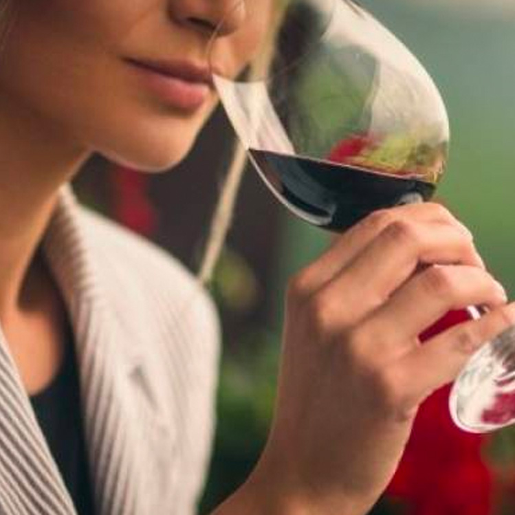 Vinos Origo: Un regalo para disfrutar en cualquier época del año