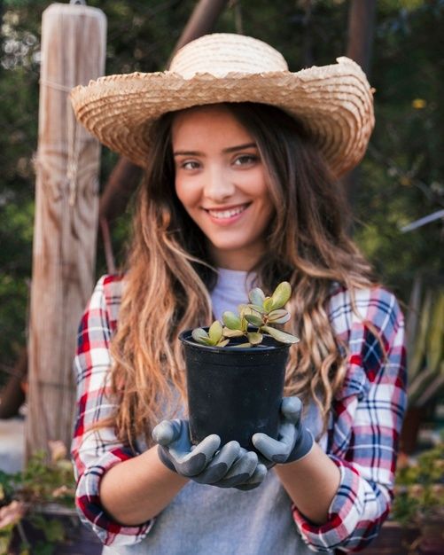 5 consejos de jardinería para principiantes 0