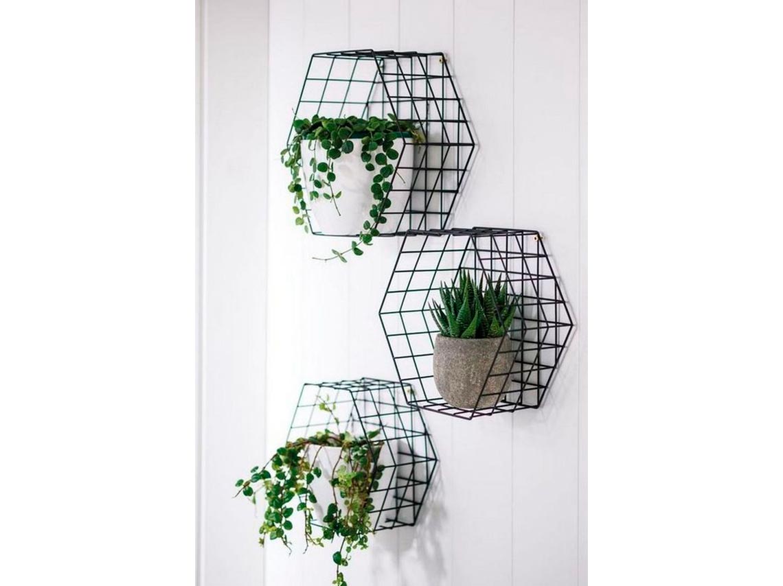 Ideas para decorar tus paredes con macetas y plantitas colgantes 1