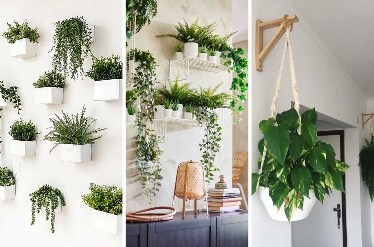 Ideas para decorar tus paredes con macetas y plantitas colgantes