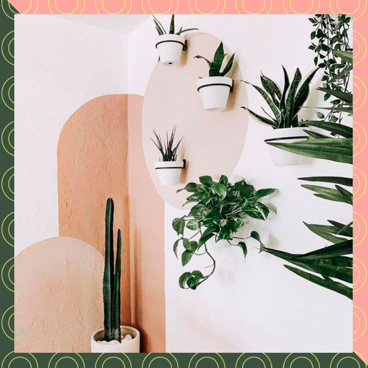 10 ideas para decorar tu casa con plantas de forma elegante