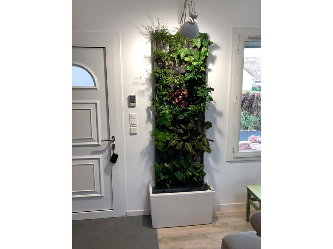 Ideas para decorar tus paredes con macetas y plantitas colgantes 11