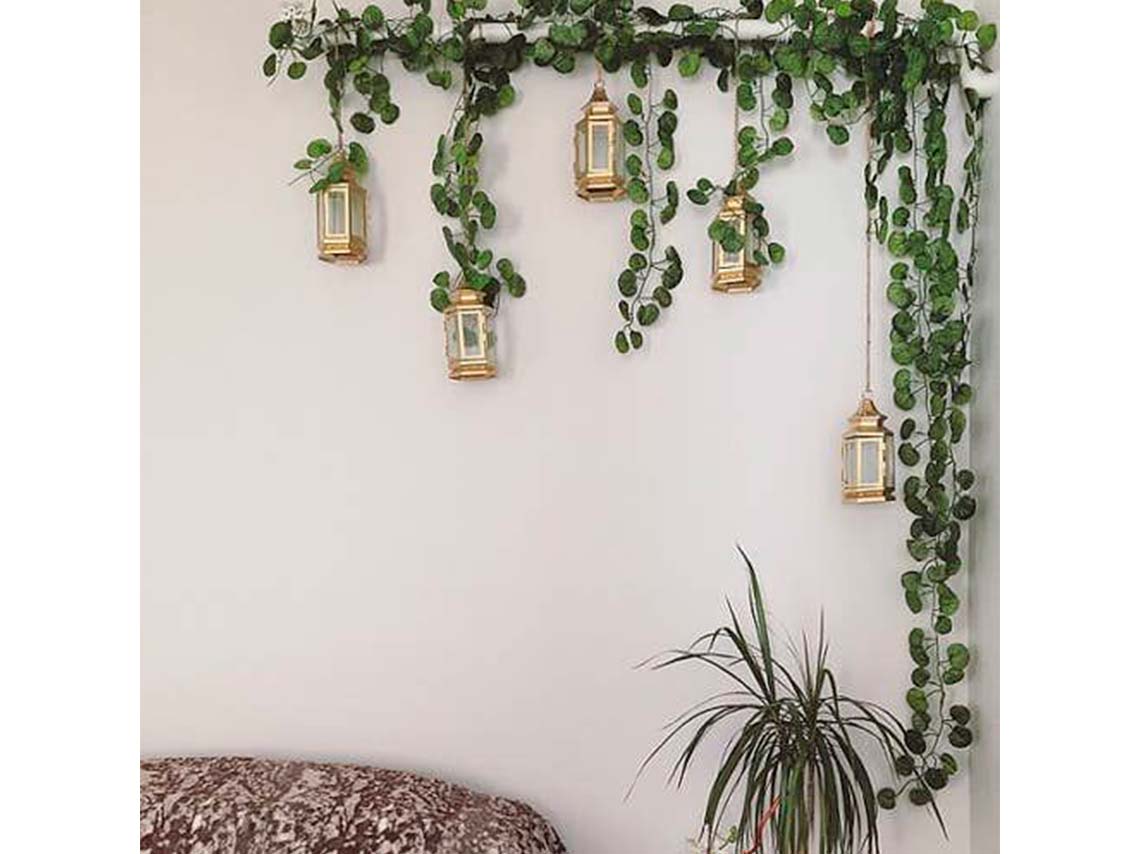 Ideas para decorar tus paredes con macetas y plantitas colgantes 4