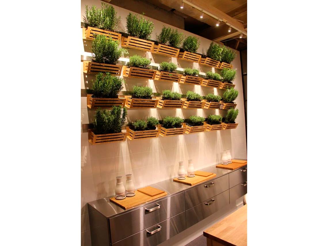 10 ideas para decorar tus paredes con macetas o plantitas 5