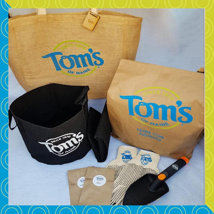 Gana un taller para hacer tu huerto casero con Tom’s of Maine