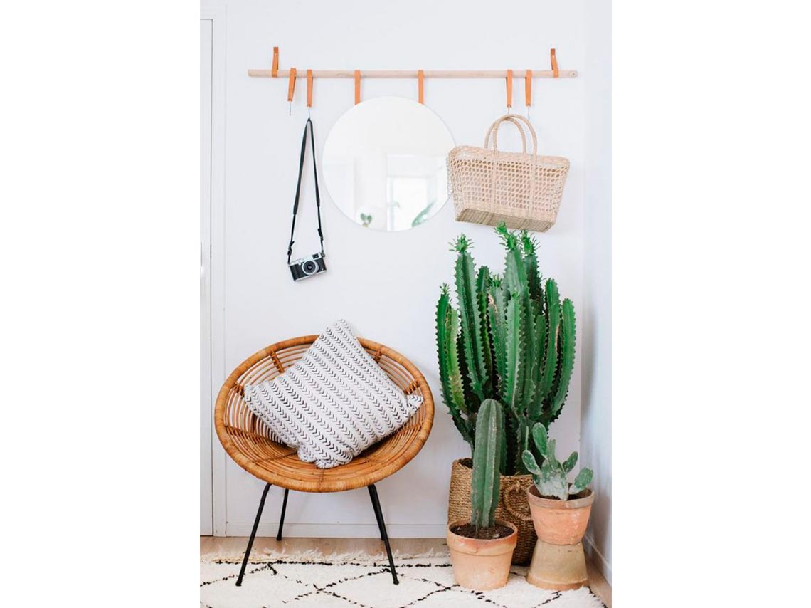 10 ideas para decorar tu casa con plantas de forma elegante 12