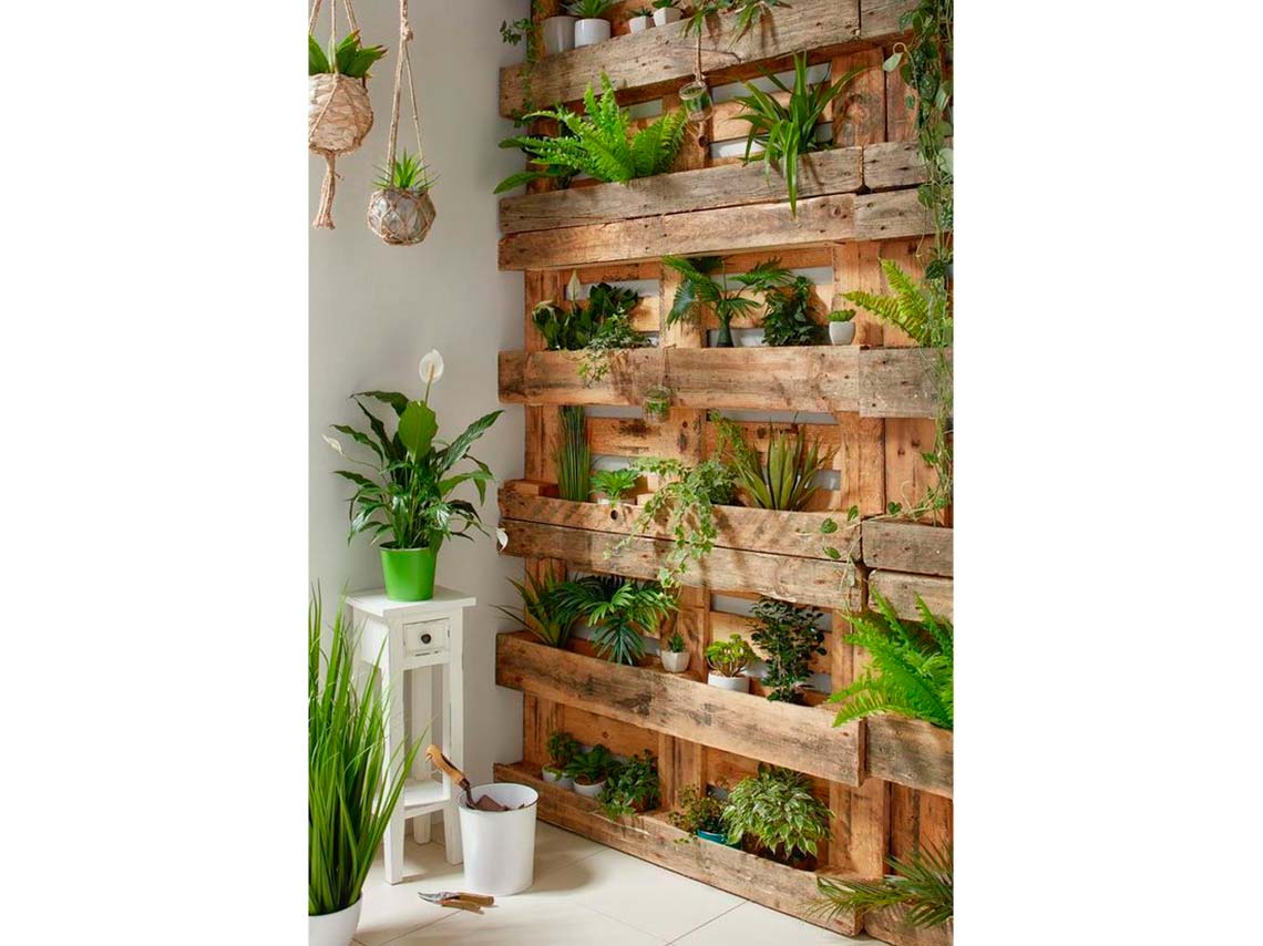 10 ideas para decorar tus paredes con macetas o plantitas 6