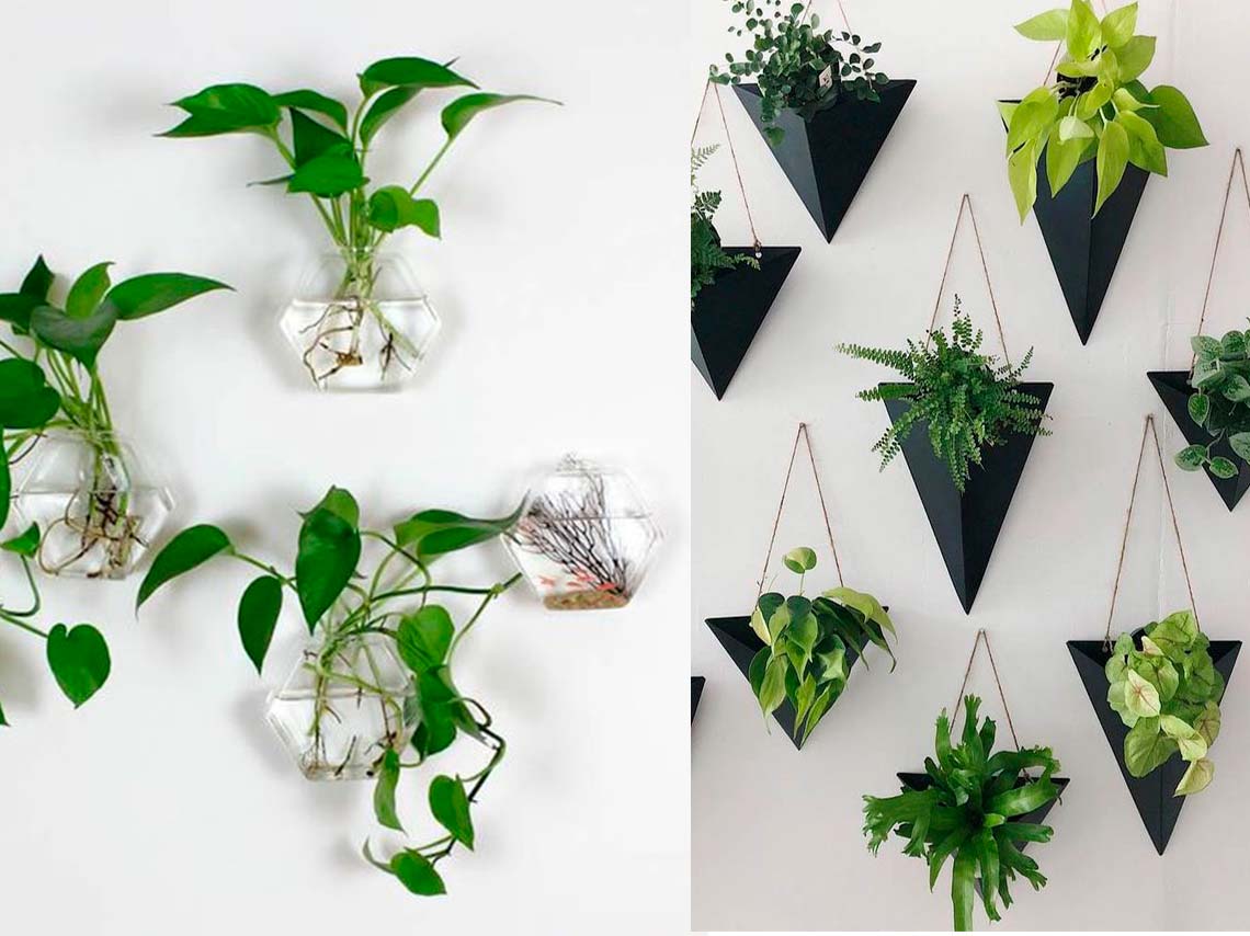 Ideas para decorar tus paredes con macetas y plantitas colgantes 3