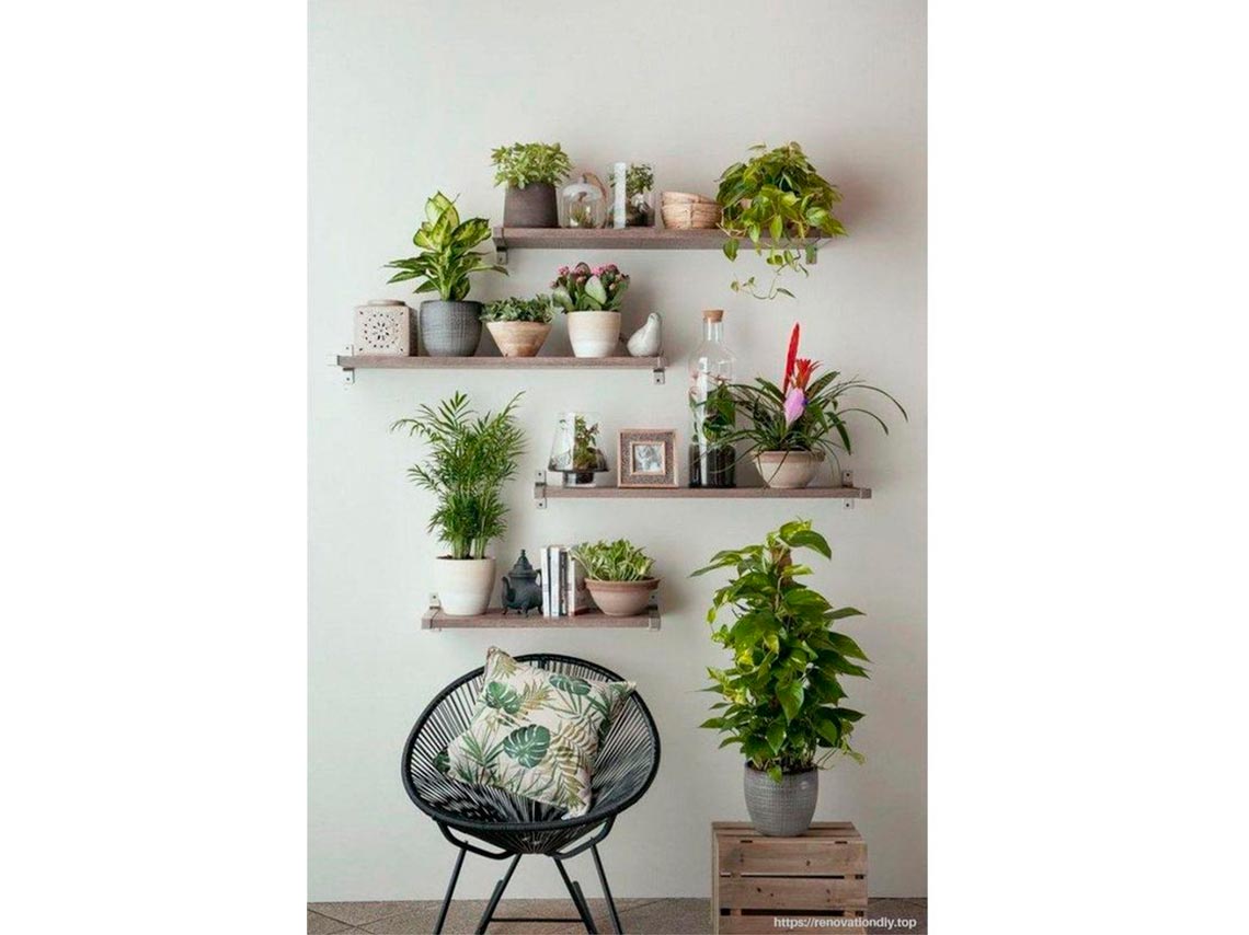 10 ideas para decorar tus paredes con macetas o plantitas 0