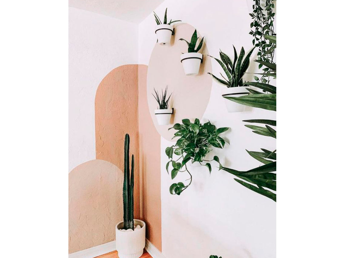 10 ideas para decorar tu casa con plantas de forma elegante 6