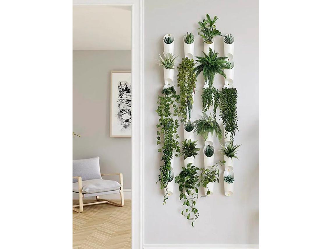10 ideas para decorar tu casa con plantas de forma elegante 2
