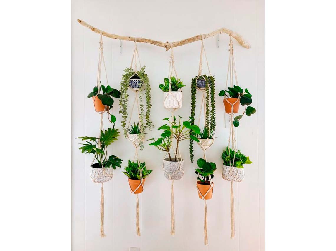 Ideas para decorar tus paredes con macetas y plantitas colgantes 9