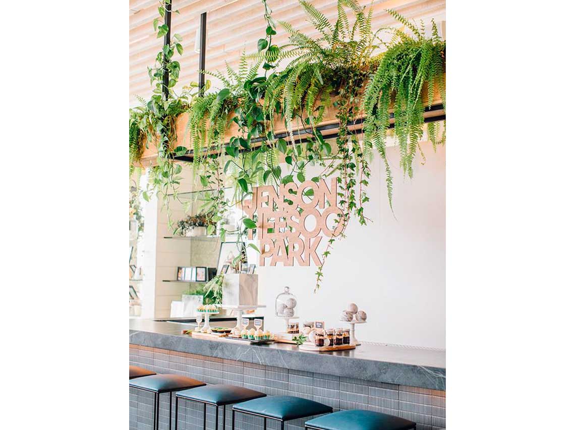10 ideas para decorar tu casa con plantas de forma elegante 4