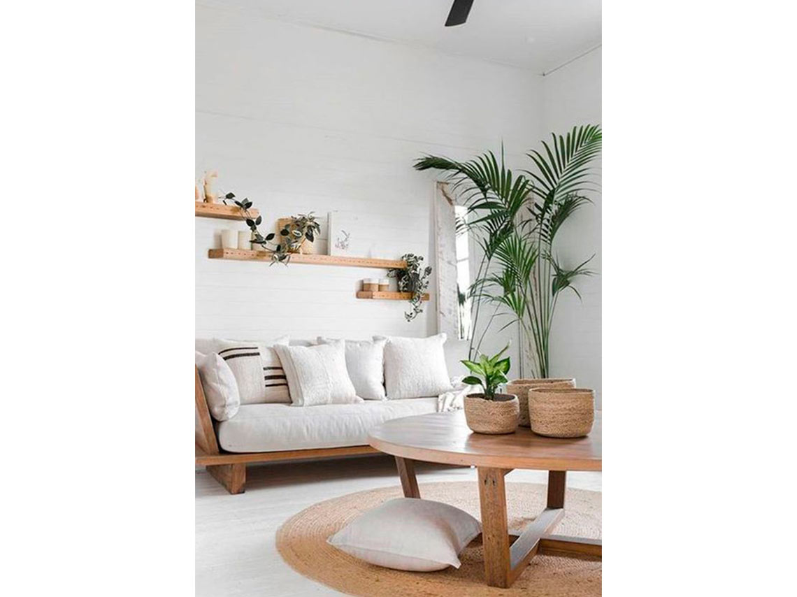 10 ideas para decorar tu casa con plantas de forma elegante 0