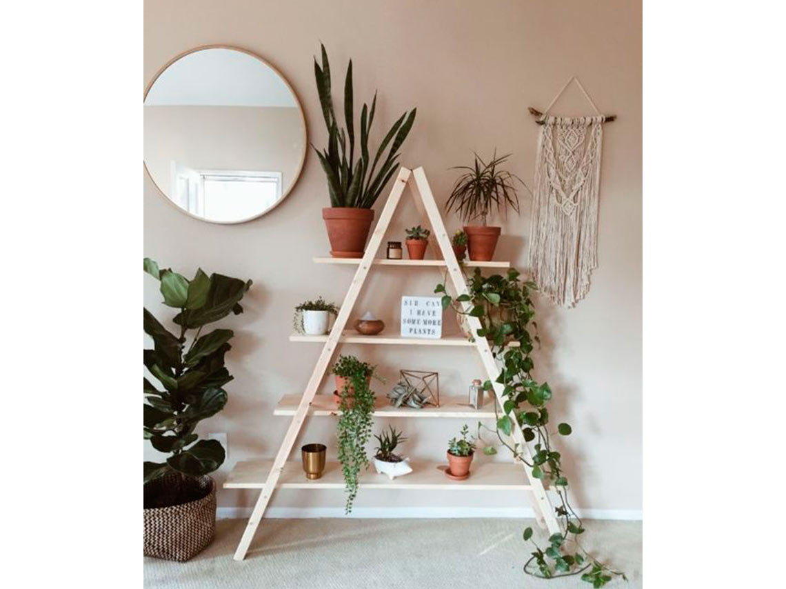 10 ideas para decorar tu casa con plantas de forma elegante 8