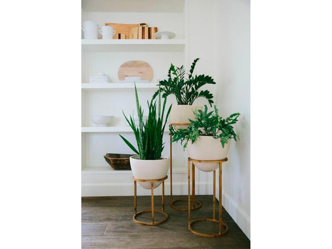 10 ideas para decorar tu casa con plantas de forma elegante 10