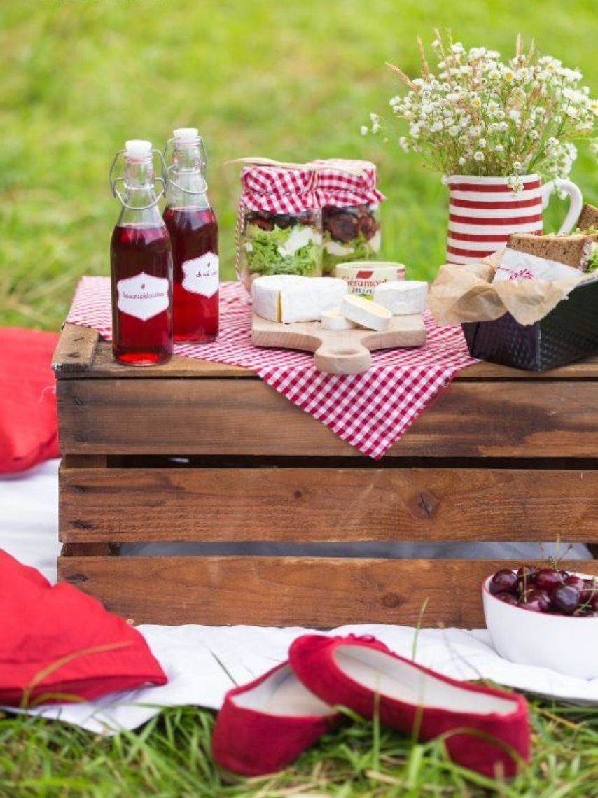 10-ideas-de-picnic-aesthetic-para-tu-proximo-cumpleanos--1