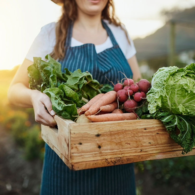 Orgánico o no… ¿Qué beneficios tiene consumir este tipo de ingredientes?