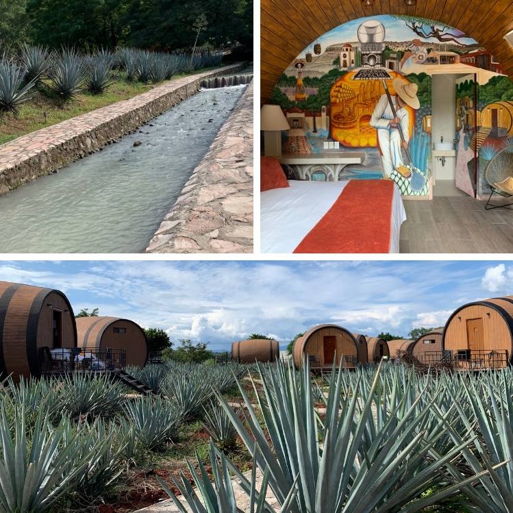 qué hacer en tequila,jalisco un fin de semana