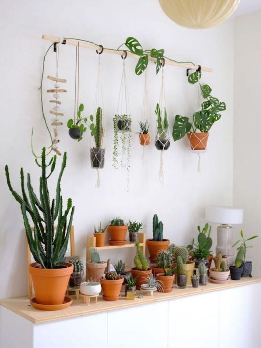 10-ideas-elegantes-para-decorar-tus-paredes-con-plantas-1