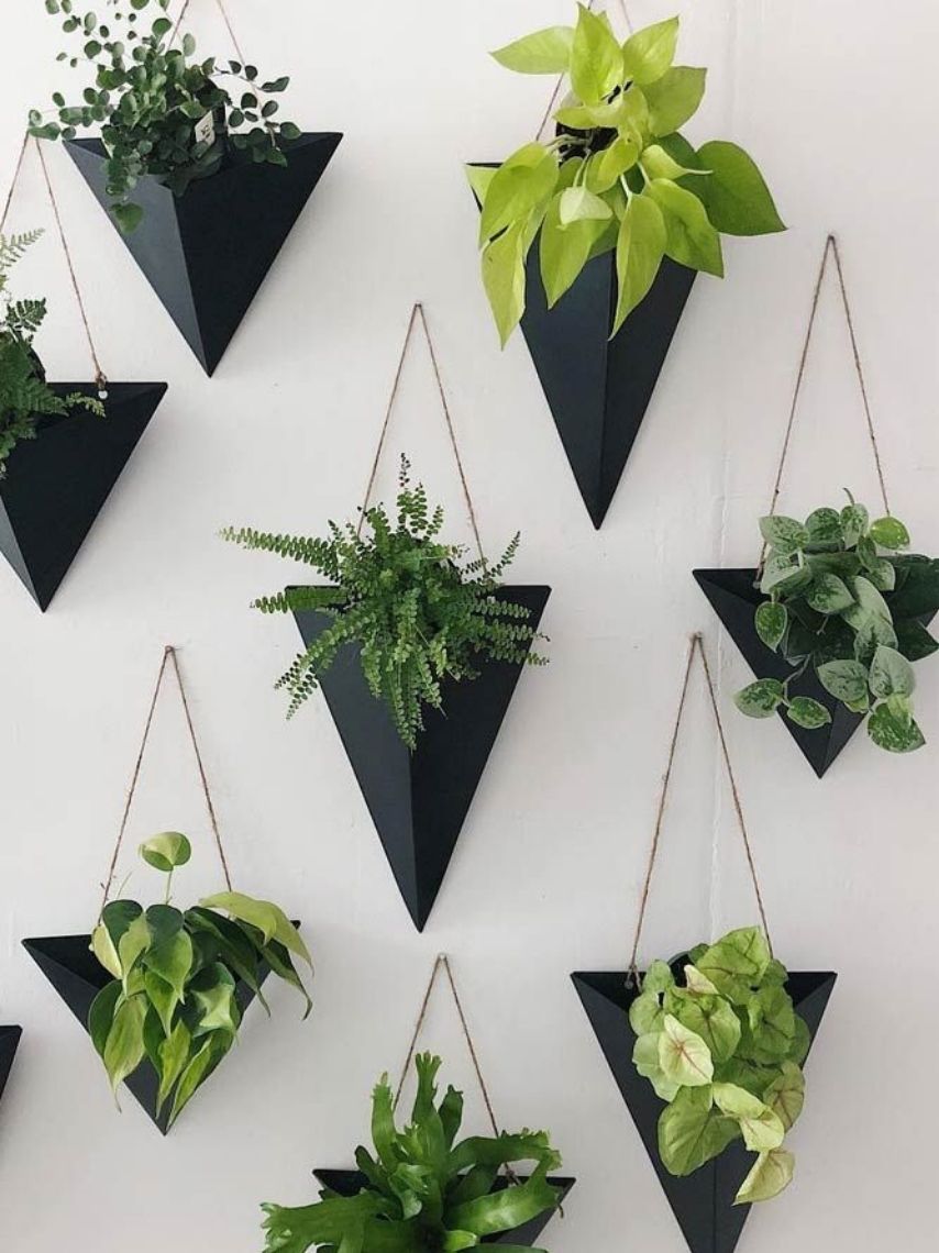 10-ideas-elegantes-para-decorar-tus-paredes-con-plantas-3