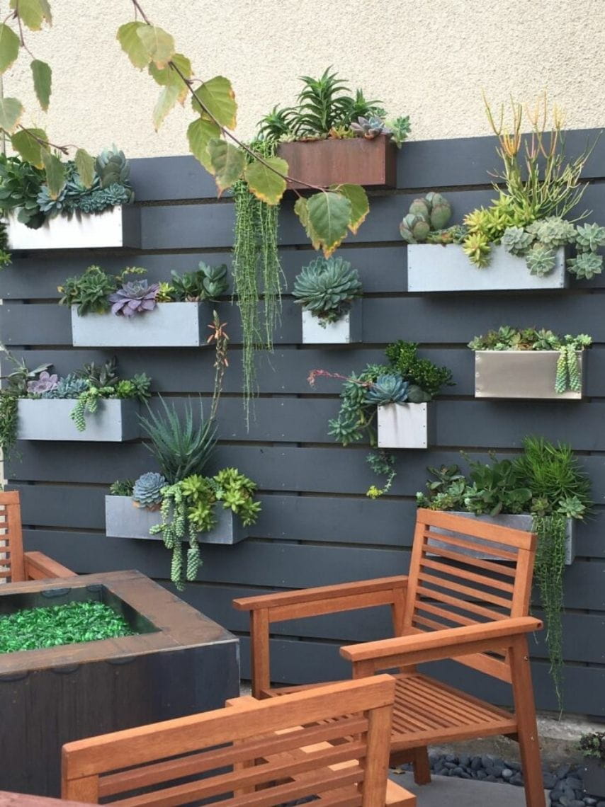 10-ideas-elegantes-para-decorar-tus-paredes-con-plantas-7